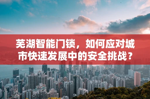 芜湖智能门锁，如何应对城市快速发展中的安全挑战？