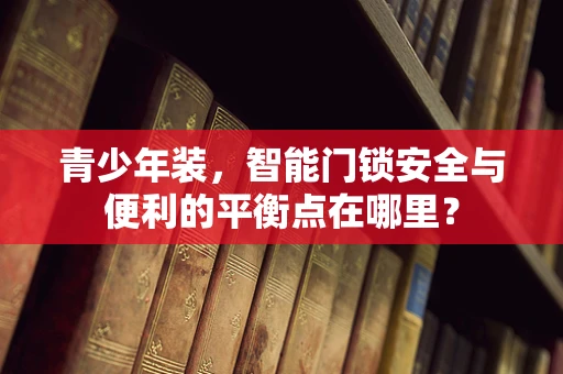 青少年装，智能门锁安全与便利的平衡点在哪里？
