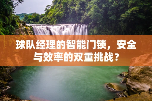 球队经理的智能门锁，安全与效率的双重挑战？
