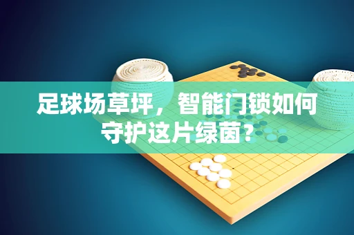 足球场草坪，智能门锁如何守护这片绿茵？