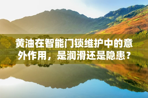 黄油在智能门锁维护中的意外作用，是润滑还是隐患？