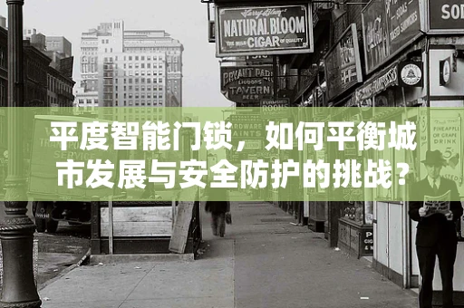平度智能门锁，如何平衡城市发展与安全防护的挑战？