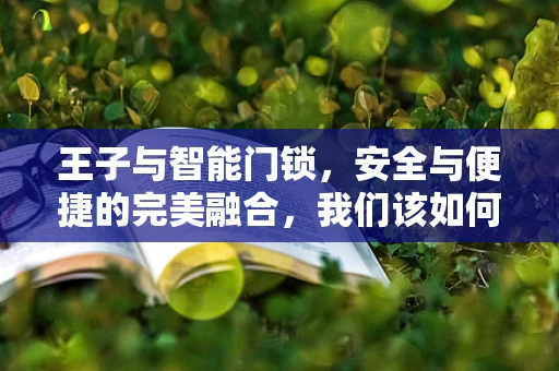 王子与智能门锁，安全与便捷的完美融合，我们该如何平衡？