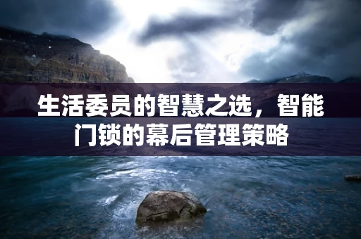生活委员的智慧之选，智能门锁的幕后管理策略