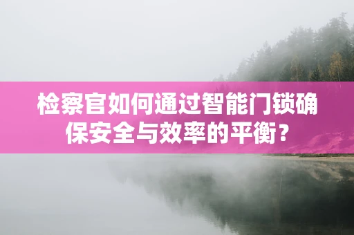 检察官如何通过智能门锁确保安全与效率的平衡？