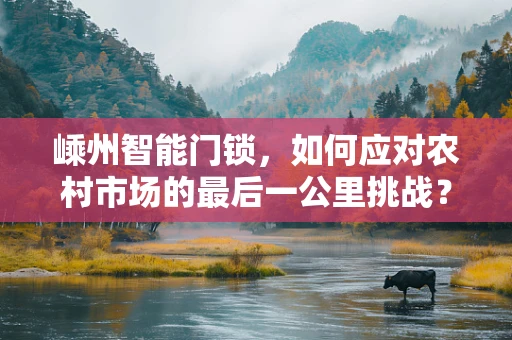 嵊州智能门锁，如何应对农村市场的最后一公里挑战？