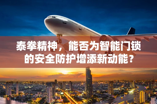 泰拳精神，能否为智能门锁的安全防护增添新动能？