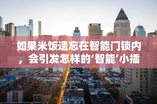 如果米饭遗忘在智能门锁内，会引发怎样的‘智能’小插曲？