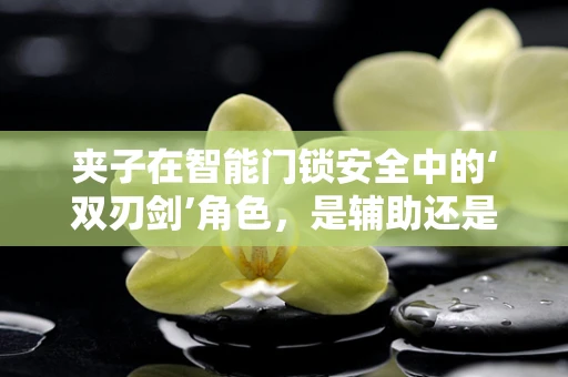 夹子在智能门锁安全中的‘双刃剑’角色，是辅助还是隐患？