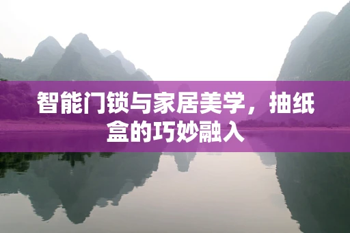 智能门锁与家居美学，抽纸盒的巧妙融入