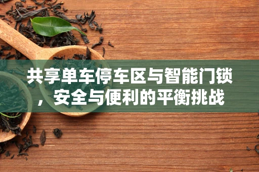 共享单车停车区与智能门锁，安全与便利的平衡挑战