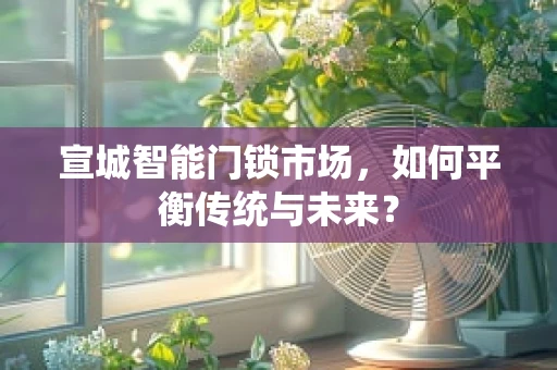 宣城智能门锁市场，如何平衡传统与未来？