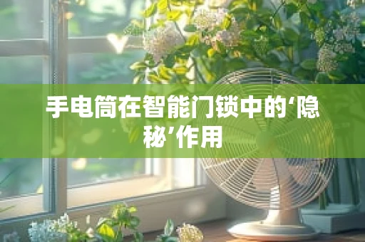 手电筒在智能门锁中的‘隐秘’作用