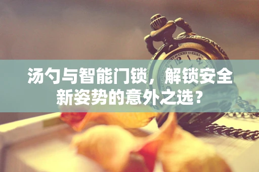 汤勺与智能门锁，解锁安全新姿势的意外之选？