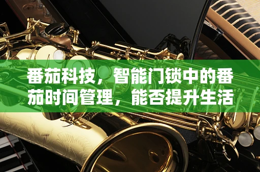 番茄科技，智能门锁中的番茄时间管理，能否提升生活效率？