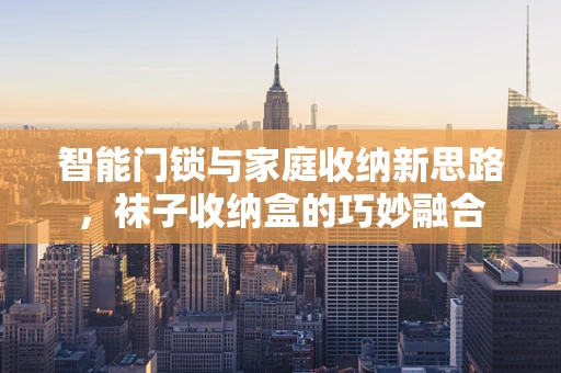 智能门锁与家庭收纳新思路，袜子收纳盒的巧妙融合