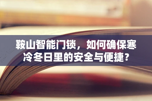 鞍山智能门锁，如何确保寒冷冬日里的安全与便捷？