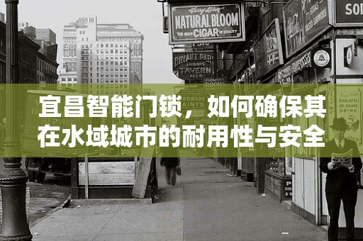 宜昌智能门锁，如何确保其在水域城市的耐用性与安全性？