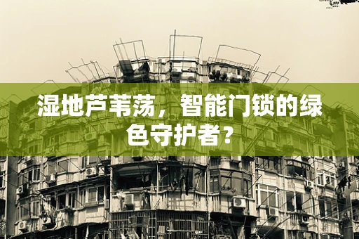 湿地芦苇荡，智能门锁的绿色守护者？