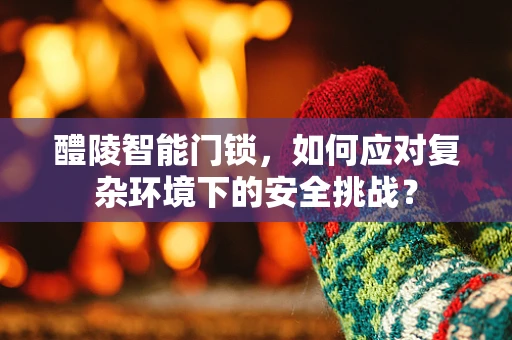 醴陵智能门锁，如何应对复杂环境下的安全挑战？