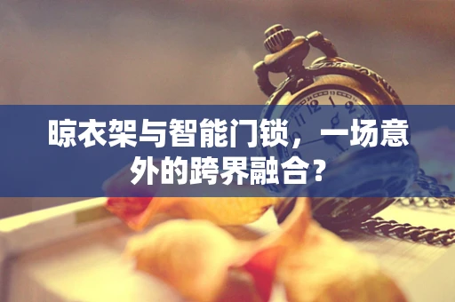 晾衣架与智能门锁，一场意外的跨界融合？