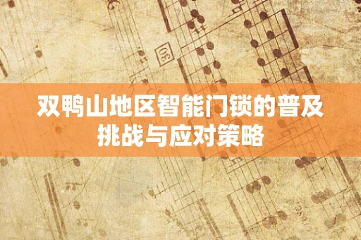 双鸭山地区智能门锁的普及挑战与应对策略