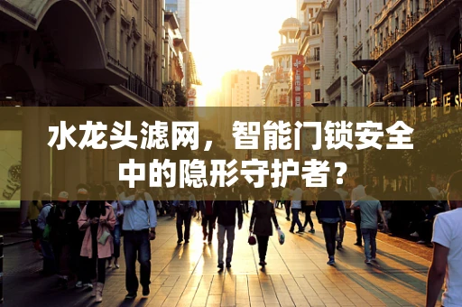 水龙头滤网，智能门锁安全中的隐形守护者？