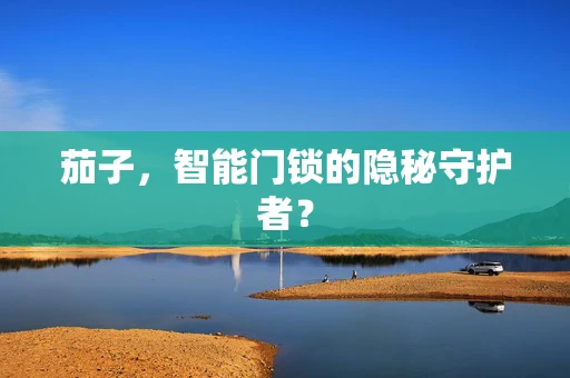 茄子，智能门锁的隐秘守护者？