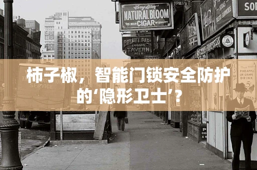 柿子椒，智能门锁安全防护的‘隐形卫士’？