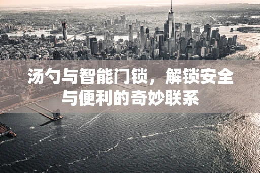 汤勺与智能门锁，解锁安全与便利的奇妙联系