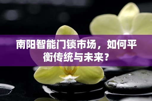 南阳智能门锁市场，如何平衡传统与未来？