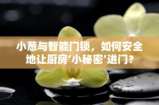 小葱与智能门锁，如何安全地让厨房‘小秘密’进门？