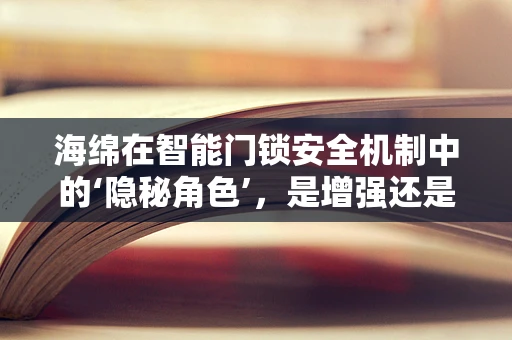 海绵在智能门锁安全机制中的‘隐秘角色’，是增强还是隐患？