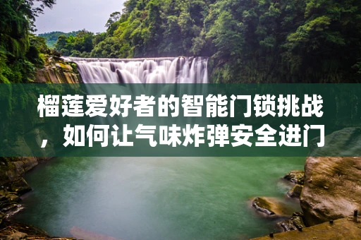 榴莲爱好者的智能门锁挑战，如何让气味炸弹安全进门？