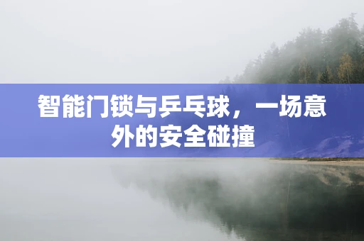 智能门锁与乒乓球，一场意外的安全碰撞