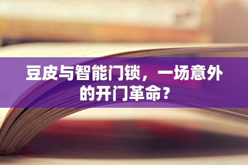 豆皮与智能门锁，一场意外的开门革命？