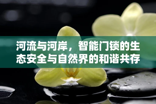 河流与河岸，智能门锁的生态安全与自然界的和谐共存