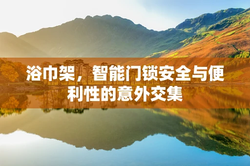 浴巾架，智能门锁安全与便利性的意外交集