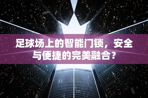 足球场上的智能门锁，安全与便捷的完美融合？