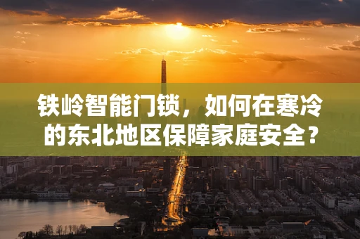 铁岭智能门锁，如何在寒冷的东北地区保障家庭安全？