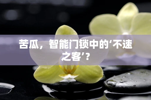 苦瓜，智能门锁中的‘不速之客’？