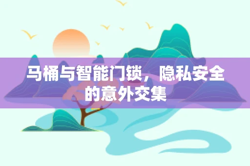 马桶与智能门锁，隐私安全的意外交集