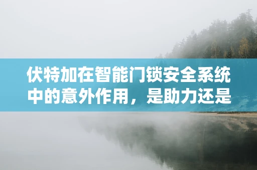 伏特加在智能门锁安全系统中的意外作用，是助力还是隐患？