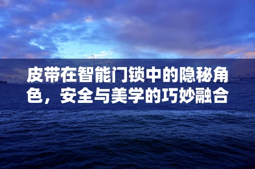 皮带在智能门锁中的隐秘角色，安全与美学的巧妙融合