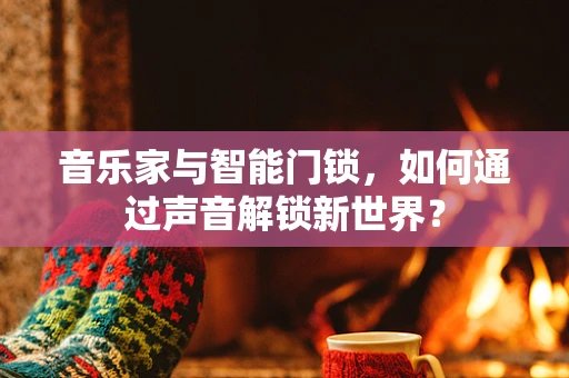 音乐家与智能门锁，如何通过声音解锁新世界？