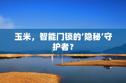 玉米，智能门锁的‘隐秘’守护者？