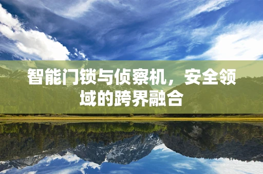 智能门锁与侦察机，安全领域的跨界融合