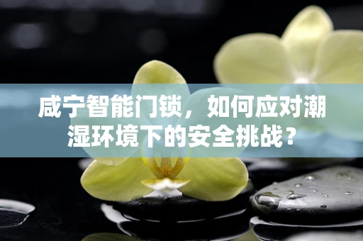咸宁智能门锁，如何应对潮湿环境下的安全挑战？
