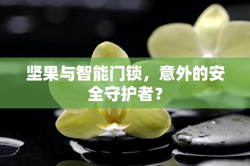 坚果与智能门锁，意外的安全守护者？