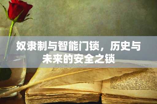 奴隶制与智能门锁，历史与未来的安全之锁
